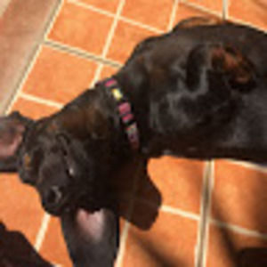 Meet your Posher, Camila